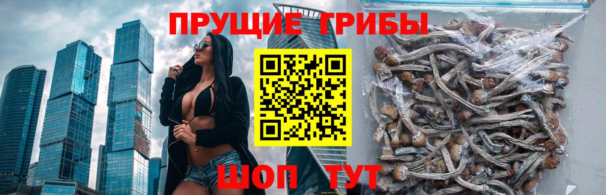 Конопля Нягань