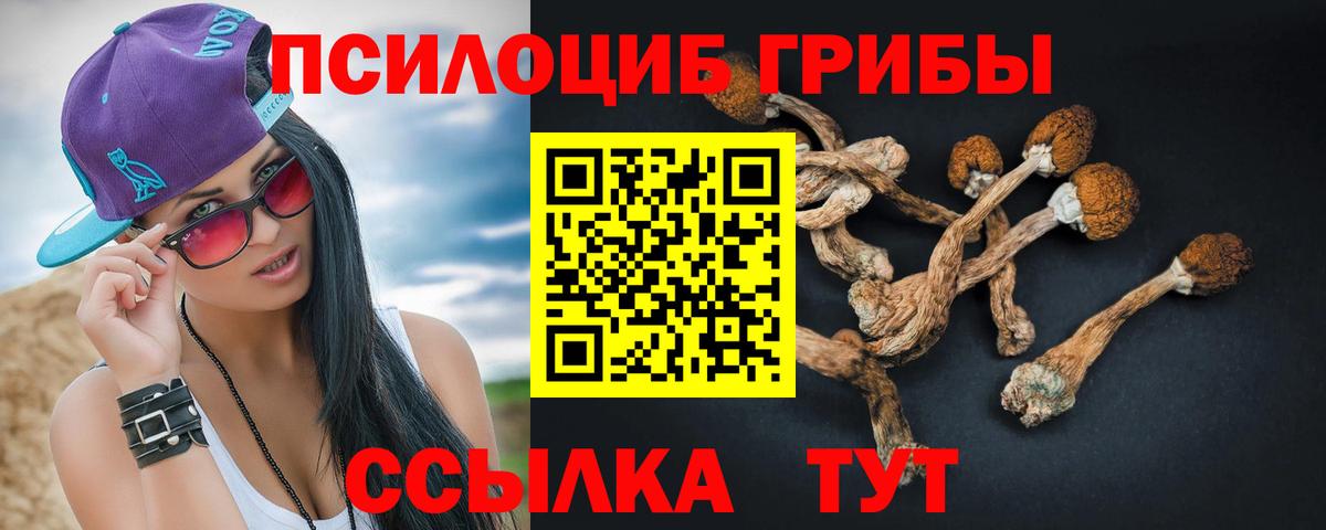 Нягань  сколько стоит  Вход с VPN  Галлюциногенные грибы MAGIC MUSHROOMS 